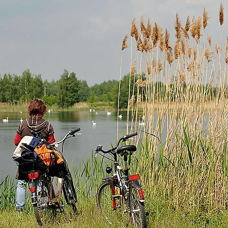 Comfortable House Near Kummerow